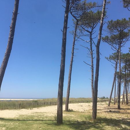 Appartement Spacieux Arcachon Kültér fotó