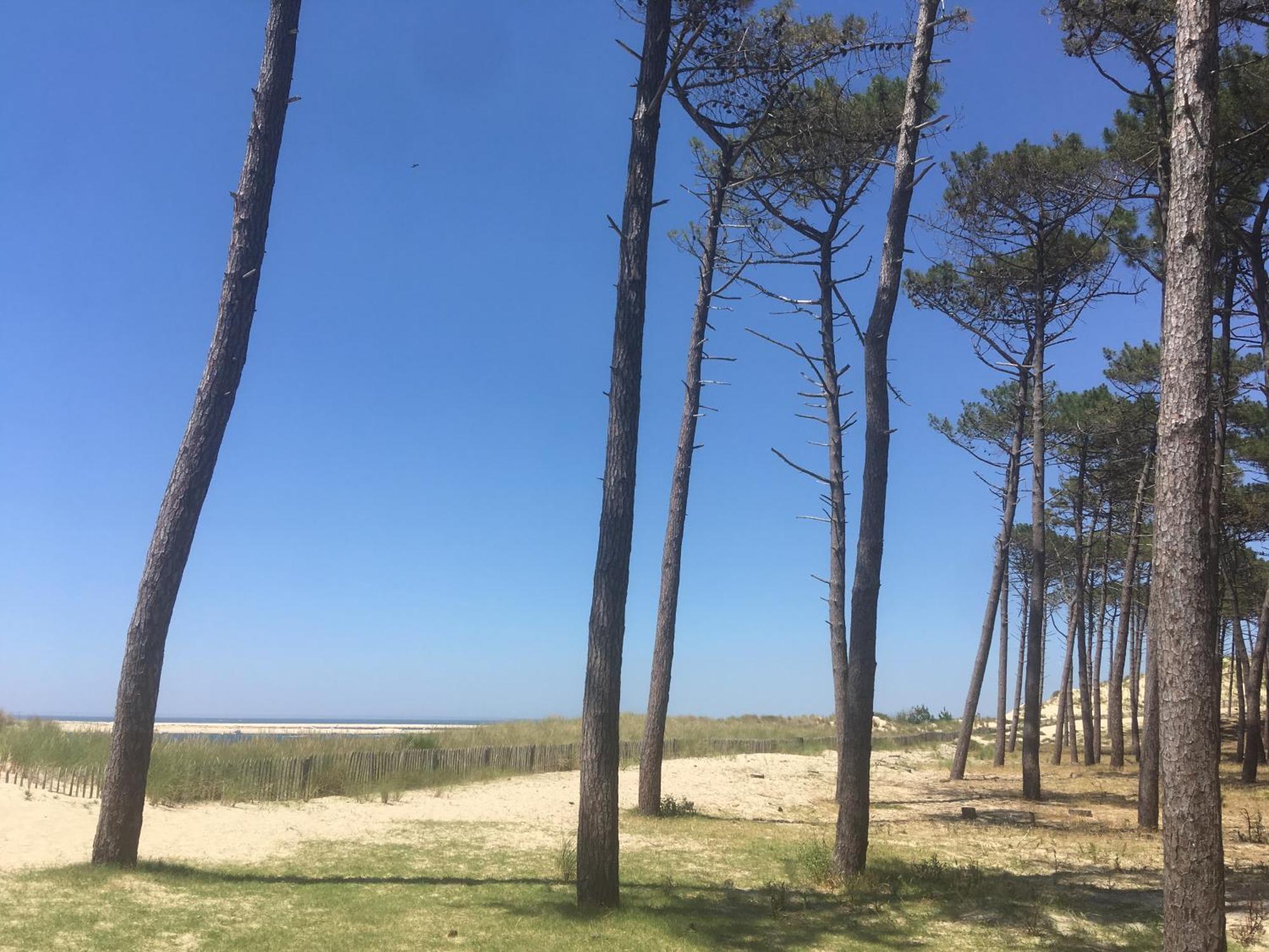 Appartement Spacieux Arcachon Kültér fotó