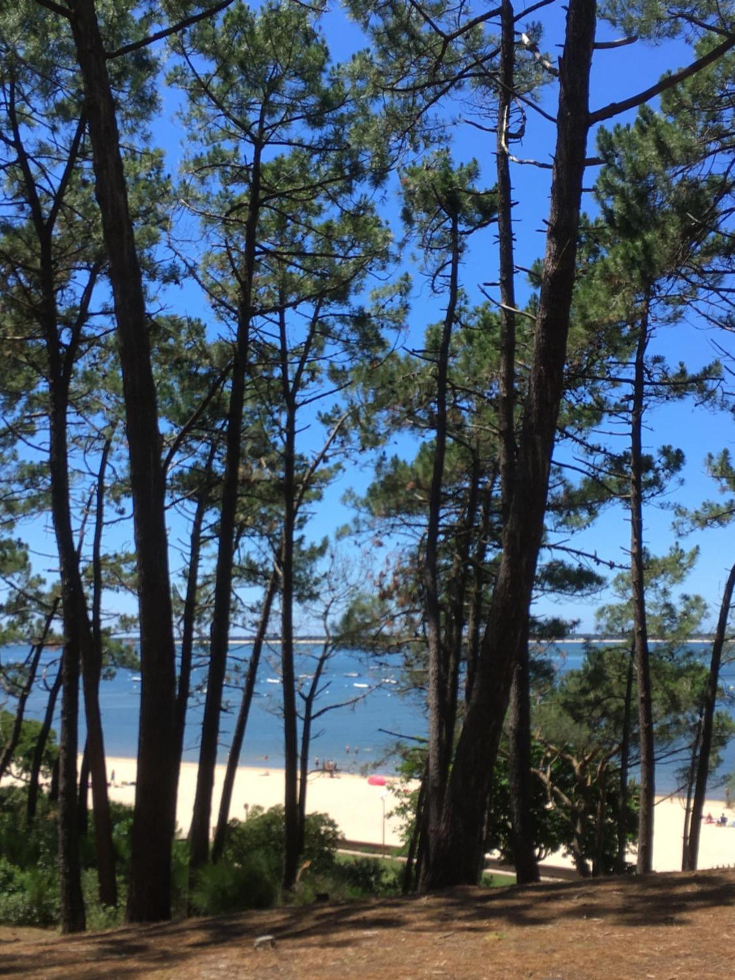 Appartement Spacieux Arcachon Kültér fotó